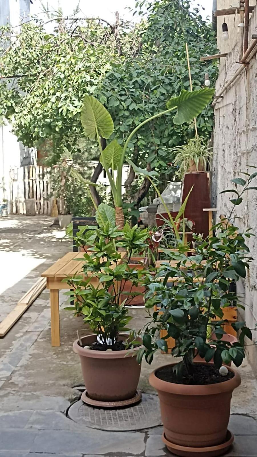 "Stairs"Guest House Erivan Exterior foto